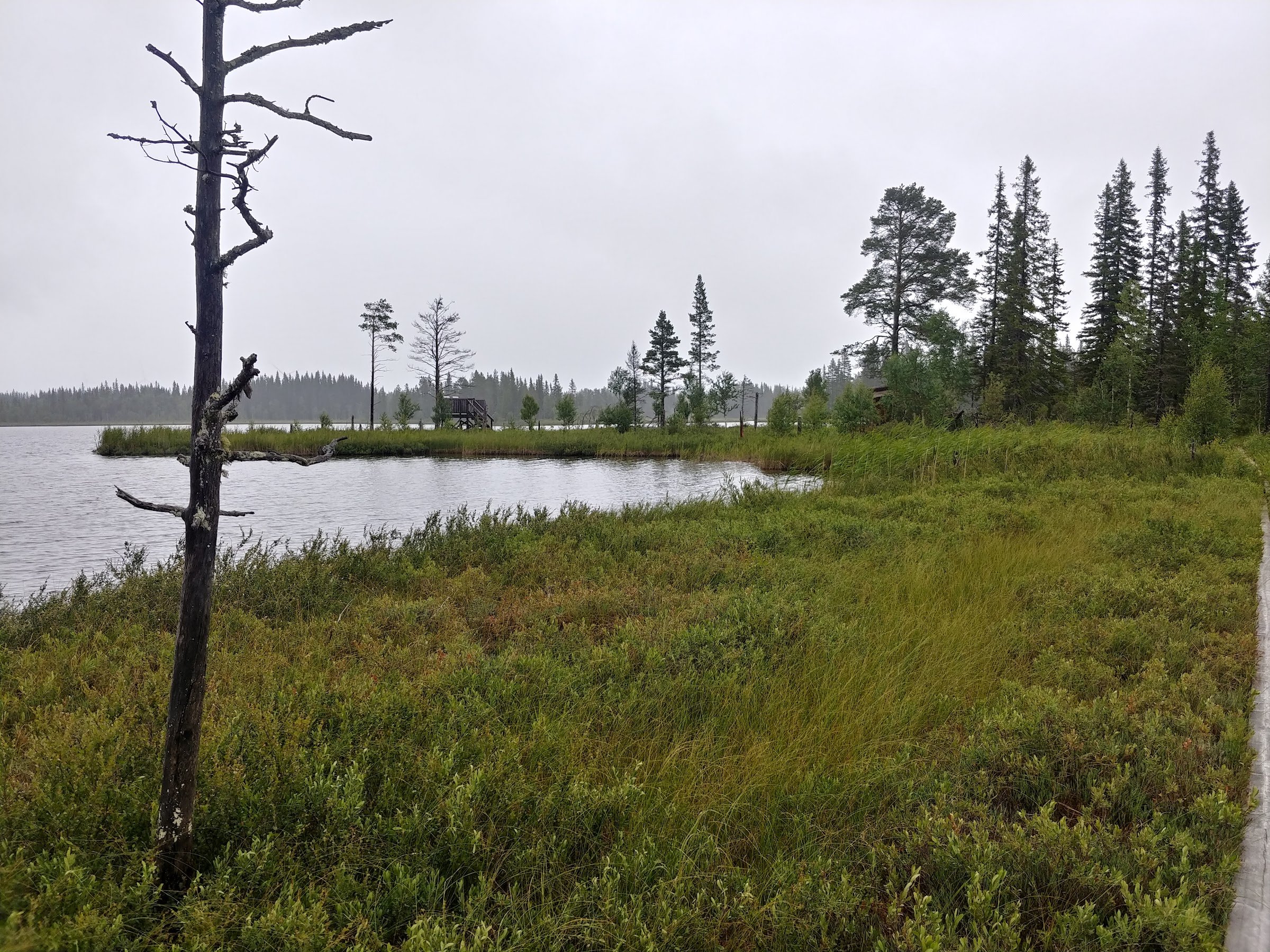 Öjsjömyrarna Nature Reserve
